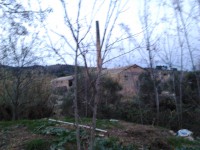 /album/la-bobila-de-viladecans/a2013-01-22-18-07-37-jpg/